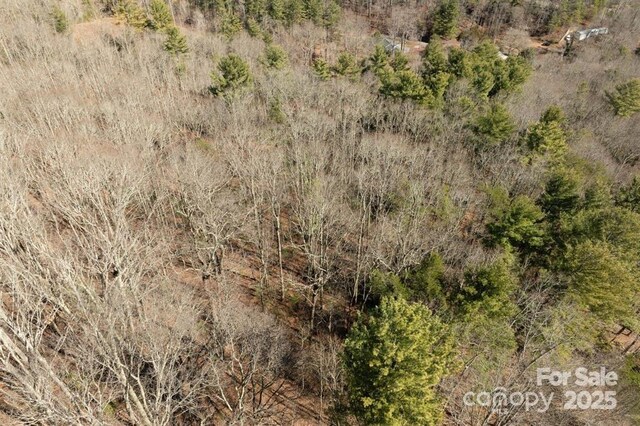 99999 Parker Rd Unit 4, Asheville, NC 28805 - photo 14