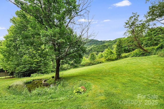 24 Cataloochee Ln, Waynesville, NC 28785 - view of green lawn