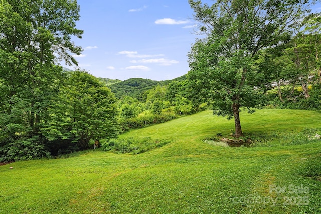 24 Cataloochee Ln, Waynesville, NC 28785 - view of green lawn