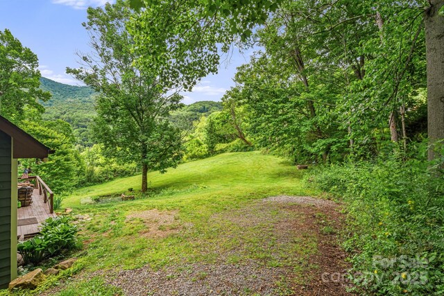 24 Cataloochee Ln, Waynesville, NC 28785 - view of grassy yard