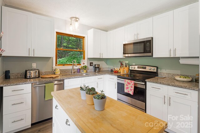 24 Cataloochee Ln, Waynesville, NC 28785 - kitchen with stainless steel appliances, butcher block counters, and white cabinetry