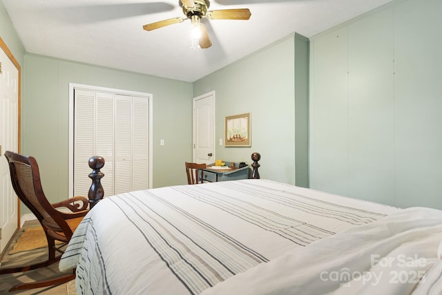 24 Cataloochee Ln, Waynesville, NC 28785 - bedroom with a closet and ceiling fan