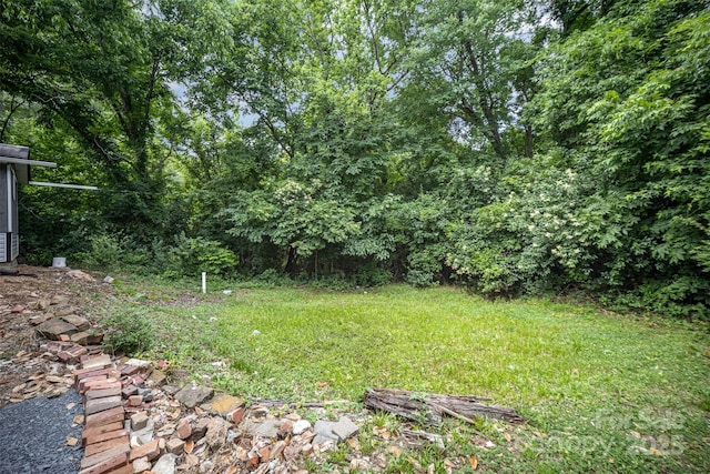 952 Salisbury St, Wadesboro, NC 28170 - view of yard