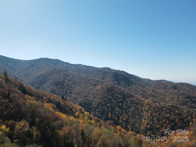 3837 Plott Balsam Rd Unit 58, Maggie Valley, NC 28779