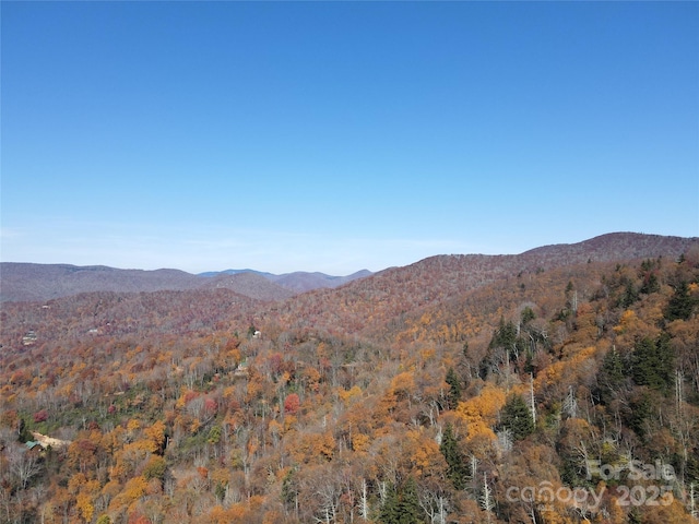 3837 Plott Balsam Rd Unit 58, Maggie Valley, NC 28779