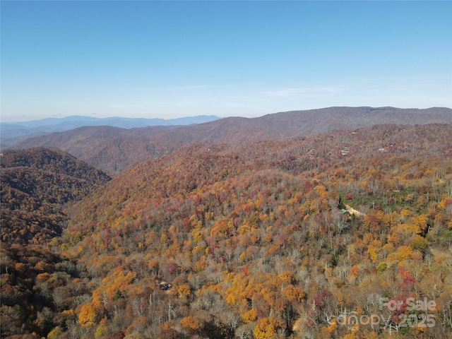 3837 Plott Balsam Rd Unit 58, Maggie Valley, NC 28779