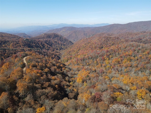 3837 Plott Balsam Rd Unit 58, Maggie Valley, NC 28779