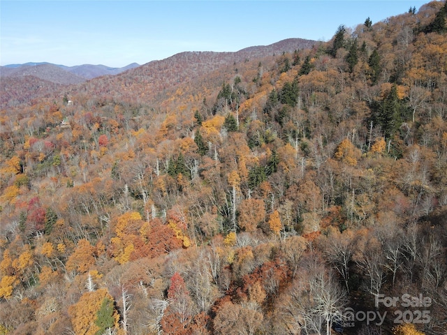 3837 Plott Balsam Rd Unit 58, Maggie Valley, NC 28779