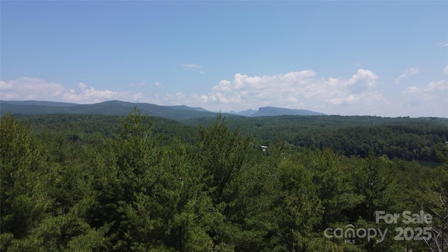 TBD Peninsula Reserve Dr Unit 6 & 27, Nebo, NC 28761
