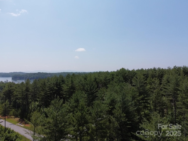 TBD Peninsula Reserve Dr Unit 6 & 27, Nebo, NC 28761