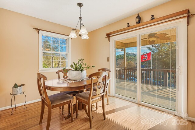 362 Mills Gap Rd Unit 5, Asheville, NC 28803 - dining space with light wood-style flooring and baseboards