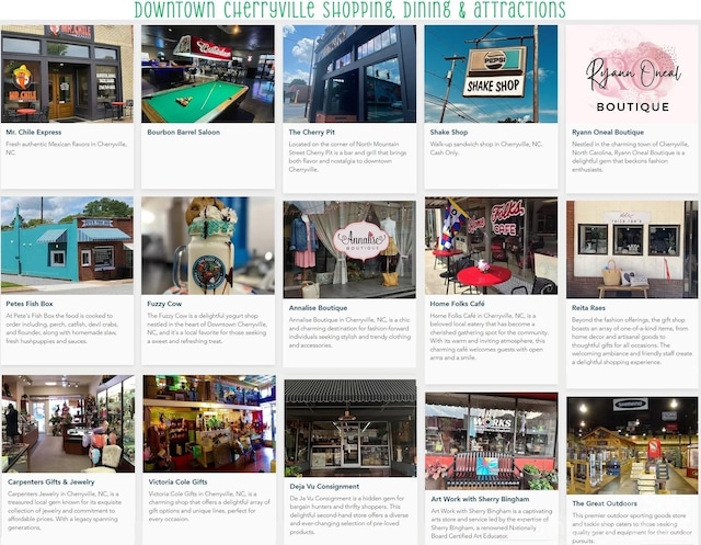 516 N Mulberry St, Cherryville, NC 28021 - view of marketing collateral with multiple images