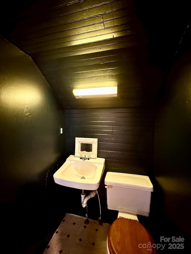 602 Brookshire St, Asheville, NC 28803 - bathroom with toilet, a sink, and vaulted ceiling