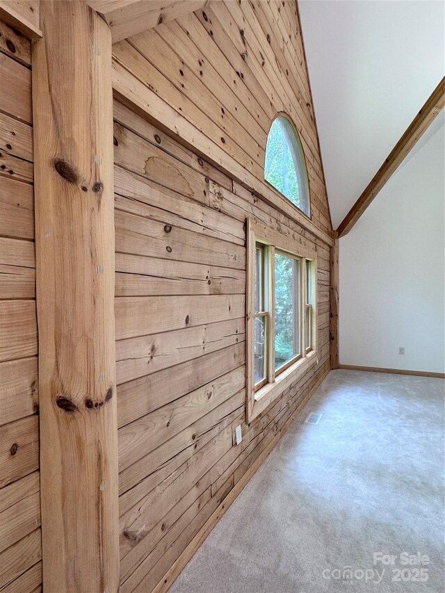 231 Blue Bird Rd, Lake Lure, NC 28746 - photo 13