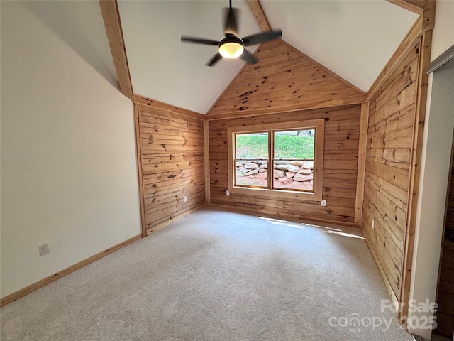 231 Blue Bird Rd, Lake Lure, NC 28746 - photo 14