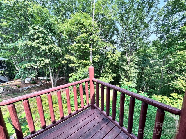 231 Blue Bird Rd, Lake Lure, NC 28746 - photo 30