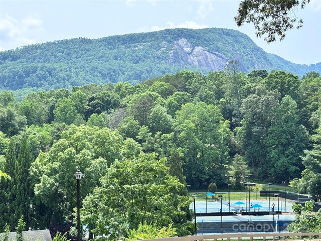 231 Blue Bird Rd, Lake Lure, NC 28746 - photo 38