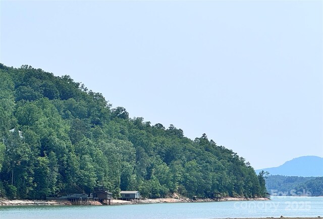 231 Blue Bird Rd, Lake Lure, NC 28746 - photo 39