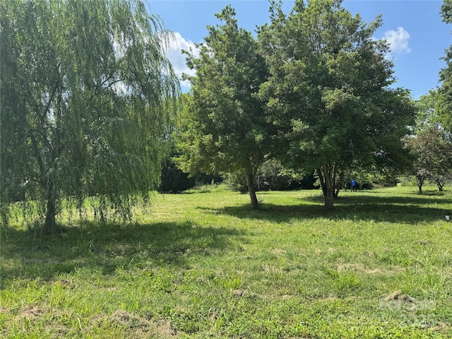 1555 Moore Rd, York, SC 29745 - view of undeveloped land
