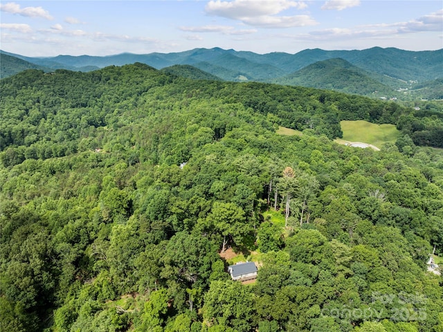 55 Gilbert B Crook Rd, Candler, NC 28715 - aerial view of a heavily wooded area and a mountainous background
