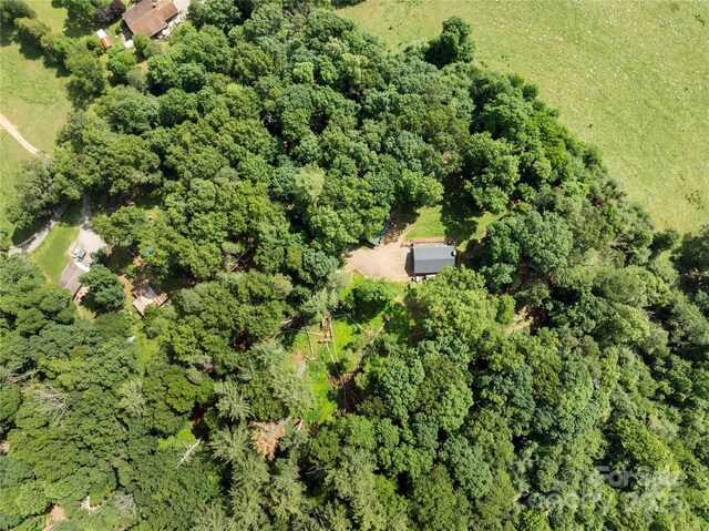55 Gilbert B Crook Rd, Candler, NC 28715 - aerial view of property's location