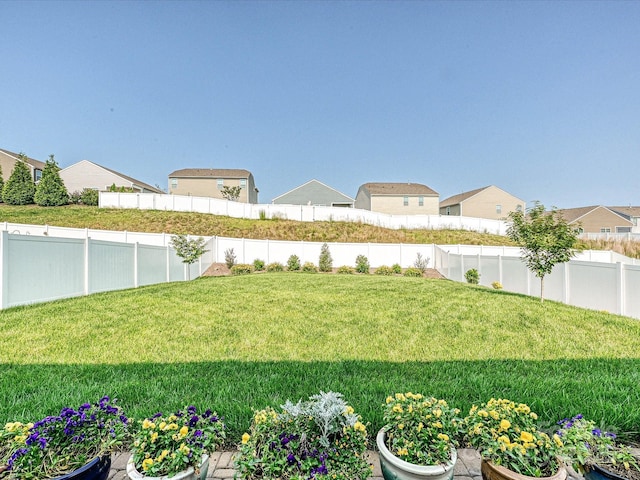 177 Yellow Birch Loop, Mooresville, NC 28117 - view of yard