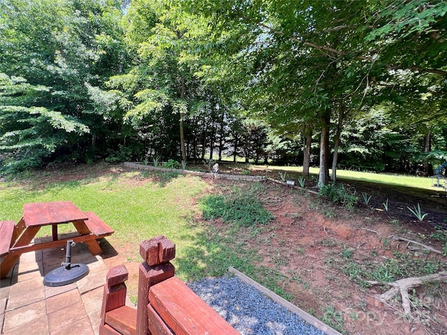 1031 Daniel Dr, Stanley, NC 28164 - view of green lawn