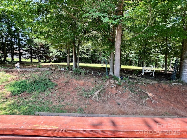 1031 Daniel Dr, Stanley, NC 28164 - view of yard
