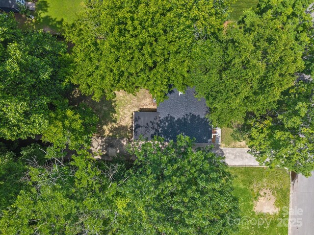 1709 Masonic Dr, Charlotte, NC 28205 - photo 26
