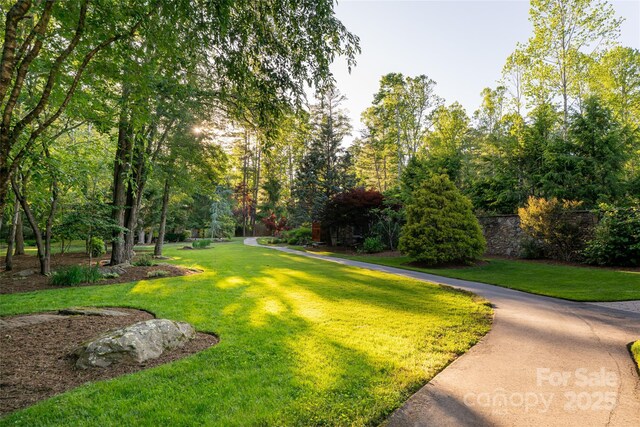 268 Holly Arbor Ln, Asheville, NC 28803 - photo 9