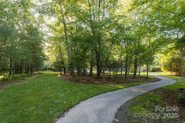 268 Holly Arbor Ln, Asheville, NC 28803 - photo 40