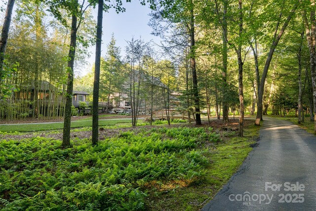 268 Holly Arbor Ln, Asheville, NC 28803 - photo 41