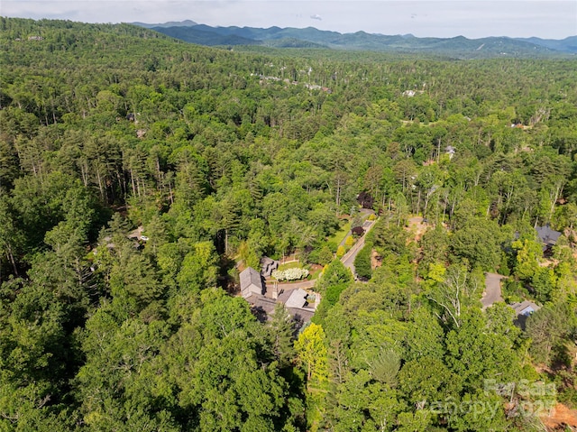 268 Holly Arbor Ln, Asheville, NC 28803 - photo 47