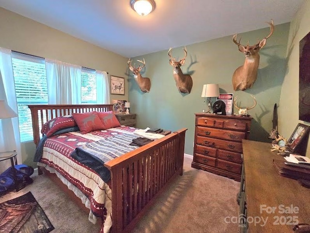 16115 Commodore Dr, Lancaster, SC 29720 - view of carpeted bedroom