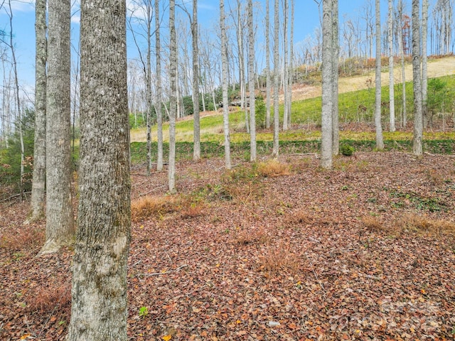 LOT80 Mountain Grove Ln Lot 80, Fletcher, NC 28732