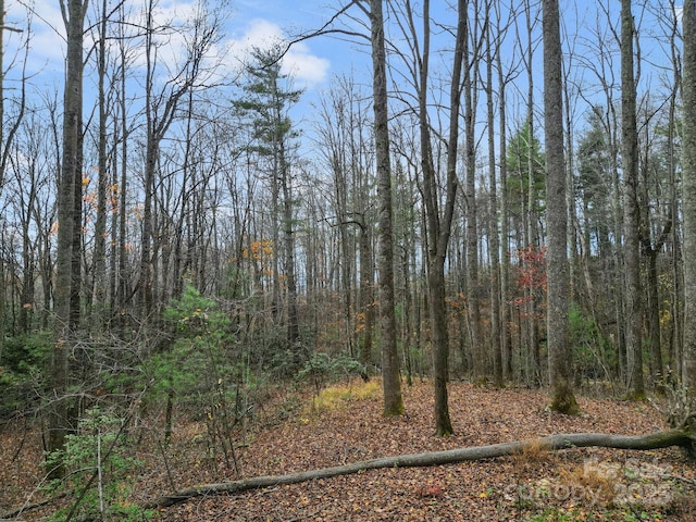 LOT80 Mountain Grove Ln Lot 80, Fletcher, NC 28732
