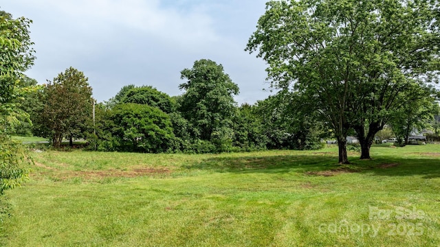 4214 Horseshoe Bend Rd, Hudson, NC 28638 - view of green lawn