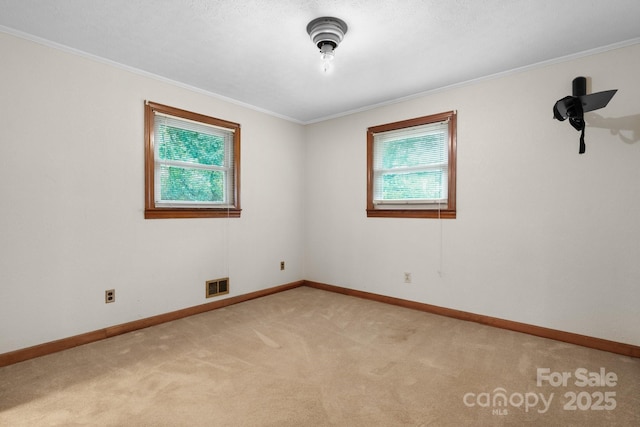 4214 Horseshoe Bend Rd, Hudson, NC 28638 - empty room with plenty of natural light, light carpet, baseboards, and ornamental molding