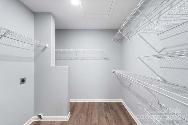 2045 Pin Oak Pl, Cramerton, NC 28032 - walk in closet featuring wood finished floors