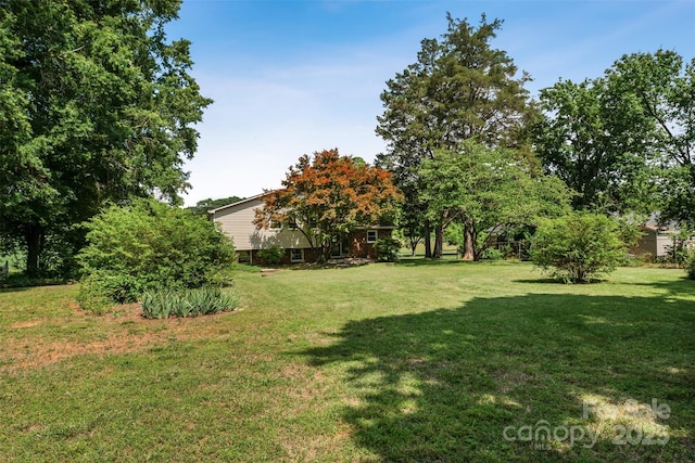 4980 Murray Rd, Winston Salem, NC 27106 - view of grassy yard