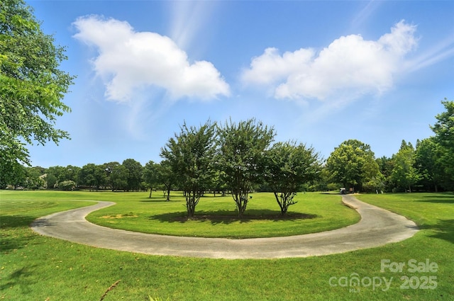 5916 Four Wood Dr, Matthews, NC 28104 - view of property's community with a yard and view of wooded area