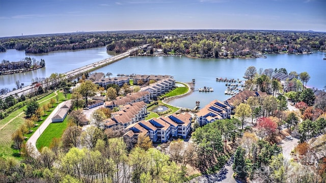 1038 SW Dr, Davidson, NC 28036 - bird's eye view of a large body of water