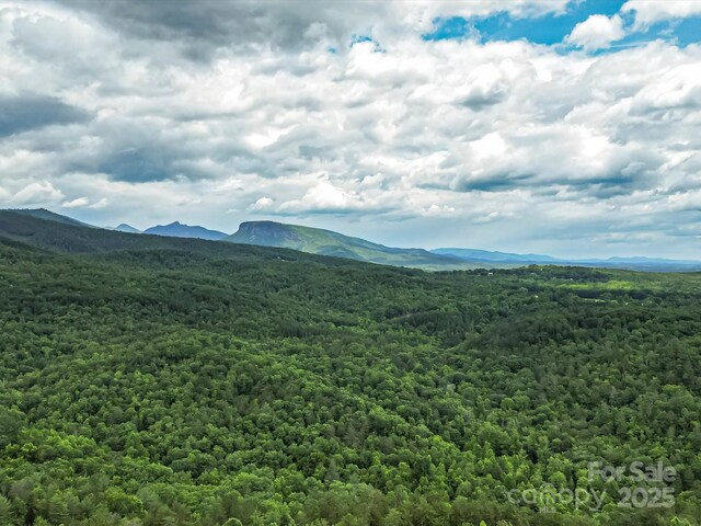 1526 Pisgah Preserve Dr Unit 7-8, Nebo, NC 28761 - mountain view featuring a forest
