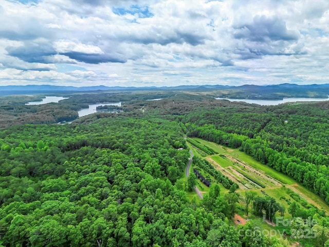 1526 Pisgah Preserve Dr Unit 7-8, Nebo, NC 28761 - drone / aerial view of a water and mountain view and a forest