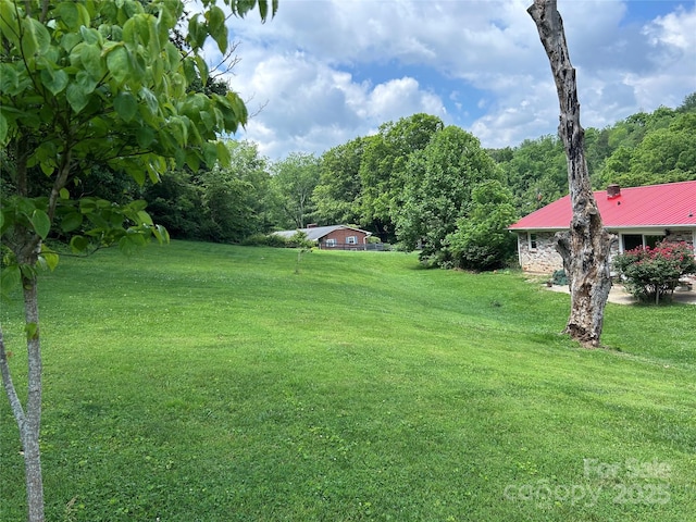 135 Smathers St, Clyde, NC 28721 - view of green lawn with a forest view