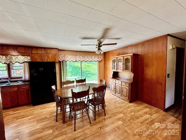 135 Smathers St, Clyde, NC 28721 - dining space with wooden walls, light wood-style flooring, and a ceiling fan