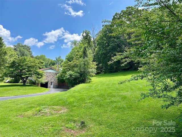 135 Smathers St, Clyde, NC 28721 - view of grassy yard with asphalt driveway