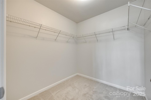 5033 Mockernut Ln, Indian Land, SC 29707 - photo 17