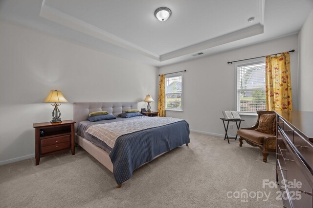 4427 Poplin Grove Dr, Indian Trail, NC 28079 - carpeted bedroom featuring a raised ceiling and baseboards