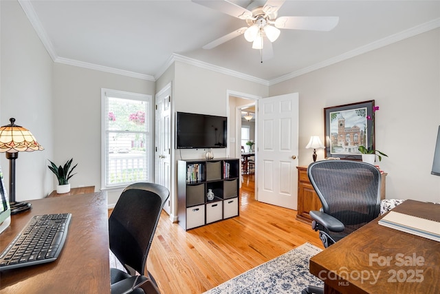 1887 Steeplechase Dr, Rock Hill, SC 29732 - photo 16
